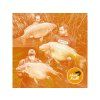 boilies-squat-carp-hero-krill-08