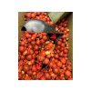 krmne-boilies-karma-bait-food-mix-squid-strawberry-10kg-05