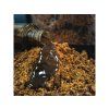 mix-do-pva-squat-carp-hero-krill-1kg-booster-100ml-05
