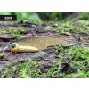 Cikáda SpinMad Ouklejka 4,2cm / 3g