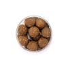 neutralne-vyvazene-boilies-squat-carp-wafters-the-crab-02