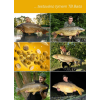 plavajuce-boilies-tb-baits-pop-up-corn-nhdc-04