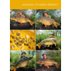 plavajuce-boilies-tb-baits-pop-up-corn-nhdc-05
