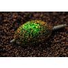 posilovac-novak-feeder-world-class-method-fluo-syrup-ananas-04