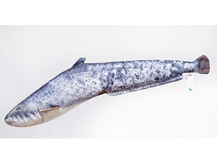 Sumec velký mini - 62 cm polštářek