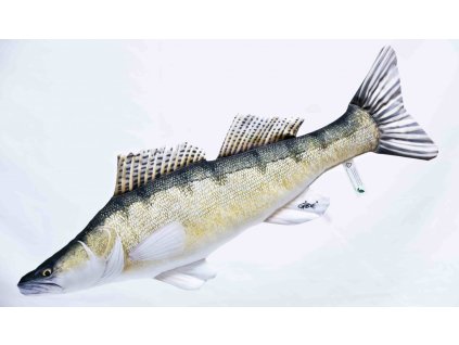 Candát obecný - 75 cm polštář