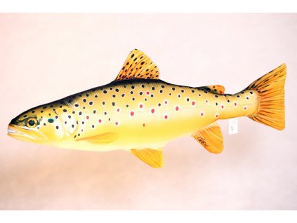 Pstruh potoční obecný - 62 cm polštář