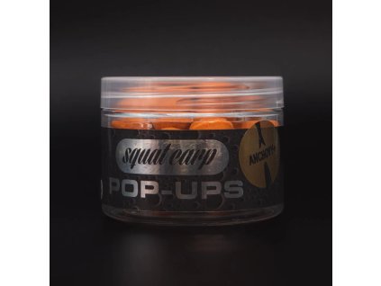 378 1 pop up anchovy