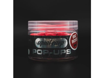 317 1 pop up big boss