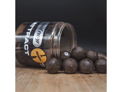 529 hiattract anchovy