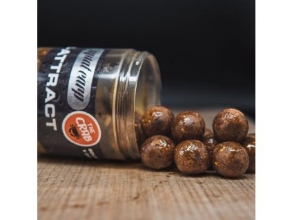 526 hiattract the crab