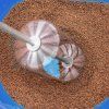 Stainless Steel Whisk