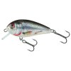 Salmo Butcher Floating 5cm