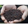 Sonubaits Pelety Cheesy Garlic Halibut Pellets