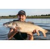 Sonubaits Spicy Sausage Halibut Pellets 900g
