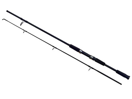 S10089 181