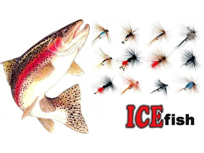 Mušky na pstruhy ICE Fish - sada FLY / 12 ks