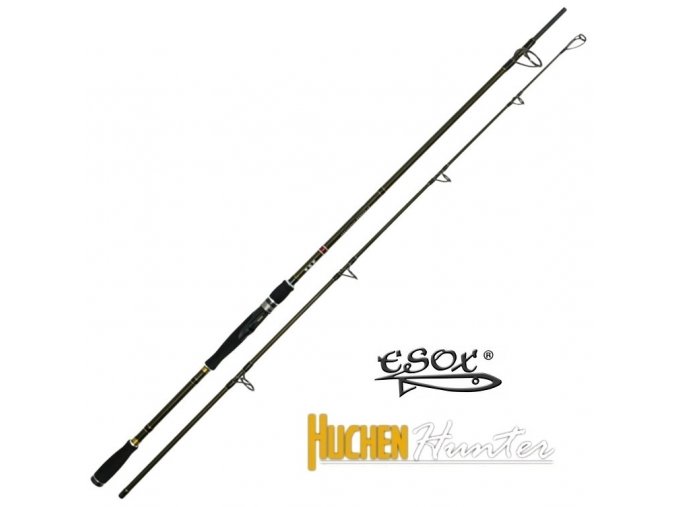 Prut Esox Huchen Hunter 230 cm/40-160 g
