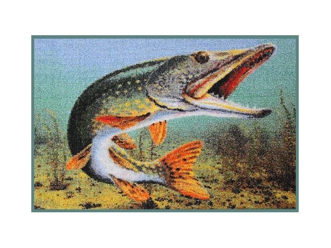Delphin rohožka 3D Štika - 60 x 40 cm