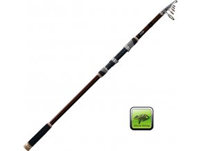 Giants Fishing prut Gold Tele Carp 12ft/3,00 lb