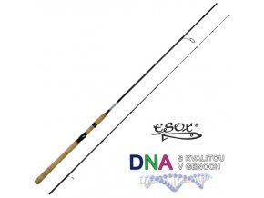 Prut Esox DNA