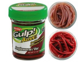 Berkley Gulp Alive Angleworm/Ver žížaly hnojňák 5 cm - 60 ks