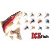 Mušky na pstruhy ICE Fish - sada FLY / 12 ks