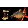 Sportcarp boilies 4NUT Coconut Bomb 1 kg