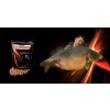 Sportcarp boilies Liver Protein Squid 1 kg