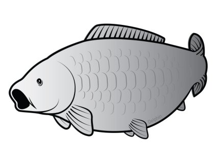 Nálepka kapor SILVER