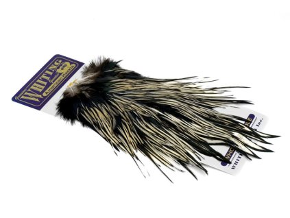 dealerweb cms 92162883 141a 4343 a32f bc746519f533