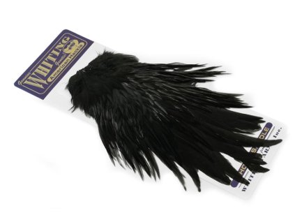 dealerweb cms 347c424e bbbe 40da 89cc c6f45608bbcf