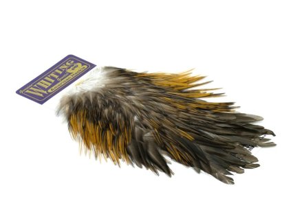 dealerweb cms c5b7ab88 2f6b 44e0 a022 58b238f27ced