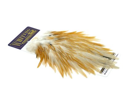 dealerweb cms 8bab2e0d ce92 40db b07c d02e8bcc32b4