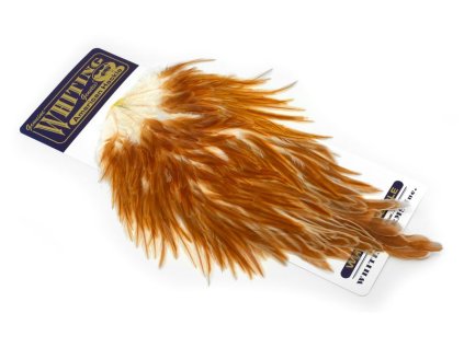 dealerweb cms 2f7a57ae 83b5 40e0 bec4 7522d4d20e42