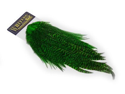 dealerweb cms 3d2cee17 2da6 4aac 931c 96ebcb5c2494