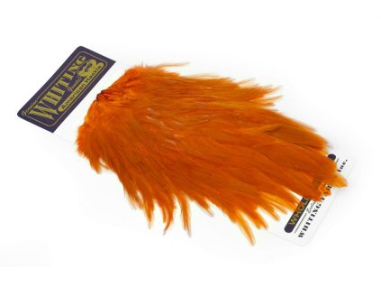 dealerweb cms 9645aab4 1a60 4571 a591 fb84b24b3310