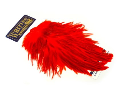 dealerweb cms e4c5b64a 81c4 48aa 9414 492e50199a10