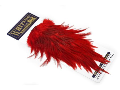 dealerweb cms b4d5b5ab 4490 4660 8b4d 12cf50032490