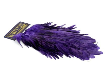 dealerweb cms 673e059c 8533 44d2 a432 de78f8274666