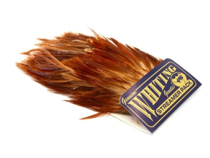 dealerweb cms 6ce5319d d963 4fee ad12 5ec33e620581