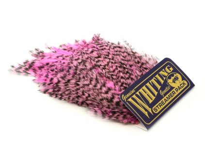 dealerweb cms 76f86645 6090 49e0 a8fc 27d8254621d9