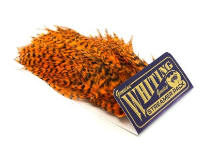 dealerweb cms f357b484 3591 4467 bbd8 fef10fdea090