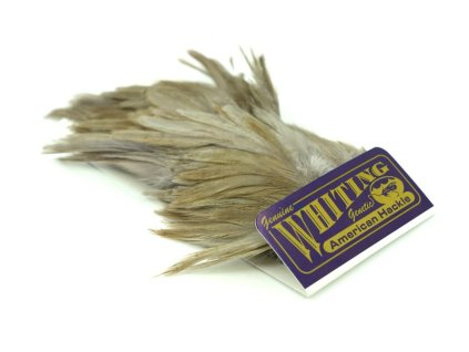 dealerweb cms 101be46d 0162 4358 b79c 25138920ac23