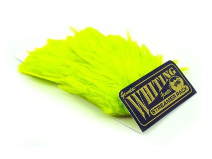 dealerweb cms bcba2872 43e9 44fe bccd 37c14077712a