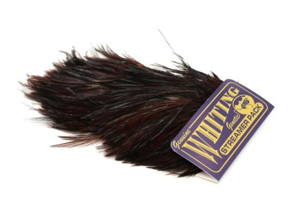 dealerweb cms bcfa0682 b3e9 44e5 aa63 91181f0c6c5c