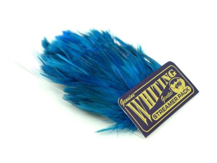 dealerweb cms 3fd66d0d 53ec 4a0b 826c b960d395e24a