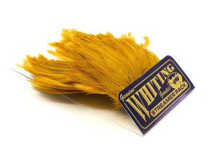 dealerweb cms 096a7a96 f15b 4719 a0b6 5d65508d091f