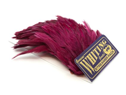 dealerweb cms 781067dc 99c2 4d38 8c71 a12c476dc015