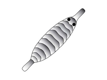 Pro Gammarus Shell Back (Farba Black, Veľkosť XXS)